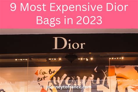 dior bag price in france|most expensive Dior bag.